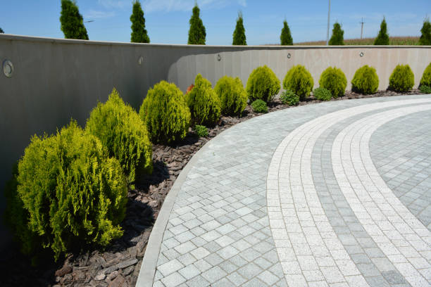 Reasons to Select Us for Your Driveway Paving Requirements in Wyandotte, MI